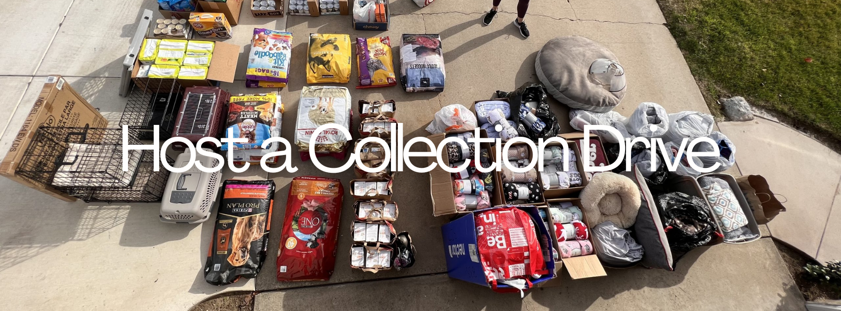 collection-drive-header collection-drive-header